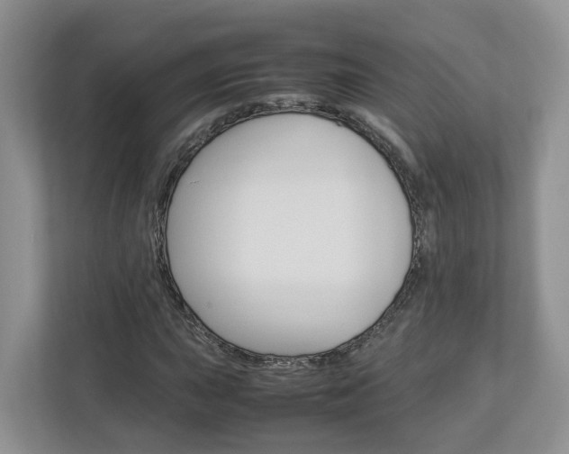 X0000113011015200908270935