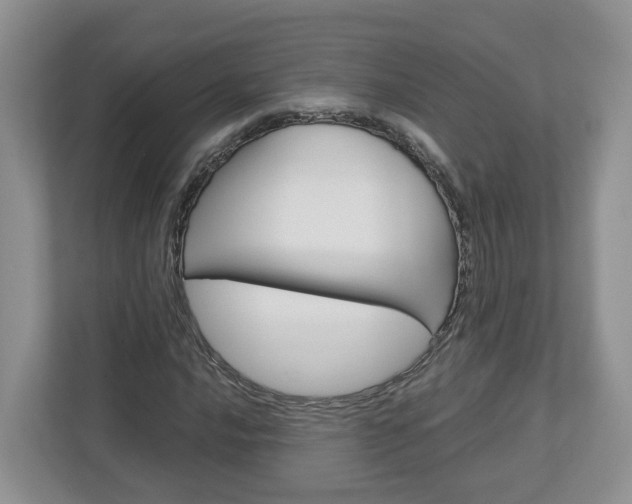 X0000113011016200908270935