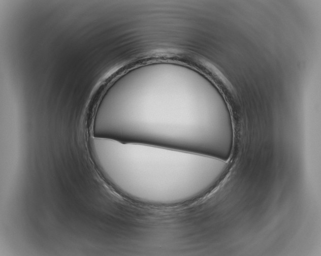 X0000113011018200908270935