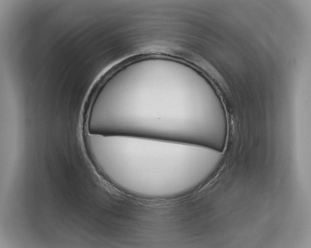 X0000113011020200908270935