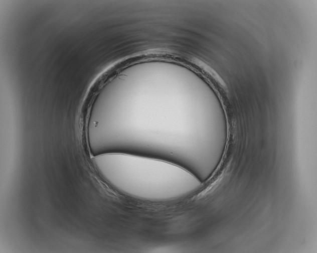 X0000113011021200908270935