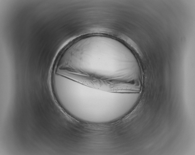 X0000113011024200908270935