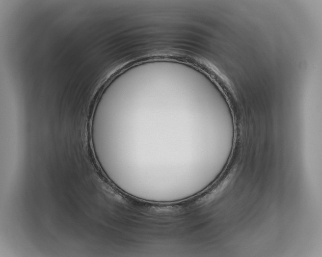 X0000113011025200908270935
