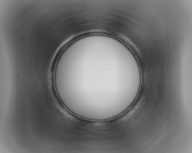 X0000113011029200908270935