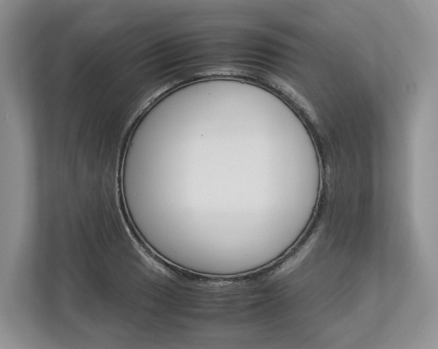 X0000113011033200908270935
