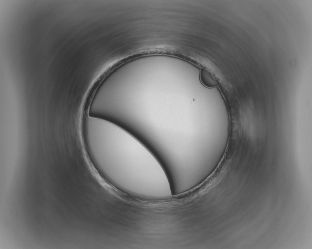 X0000113011038200908270935