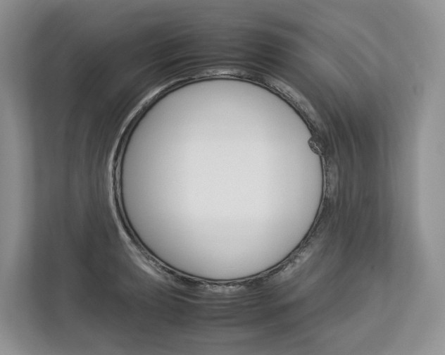 X0000113011039200908270936