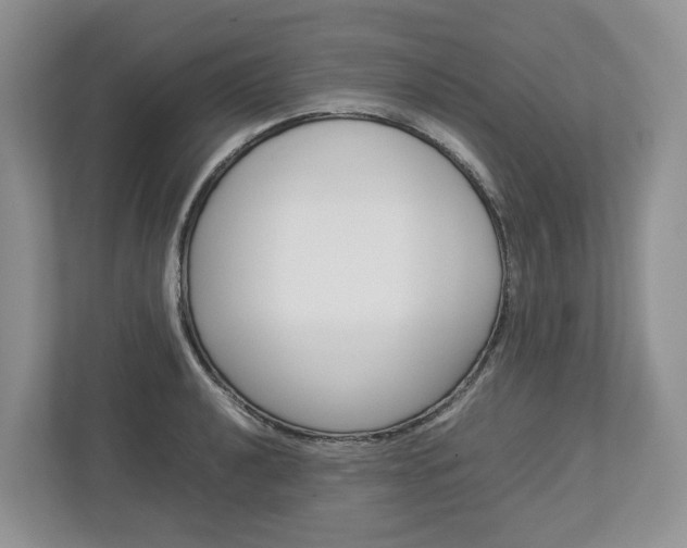 X0000113011040200908270936
