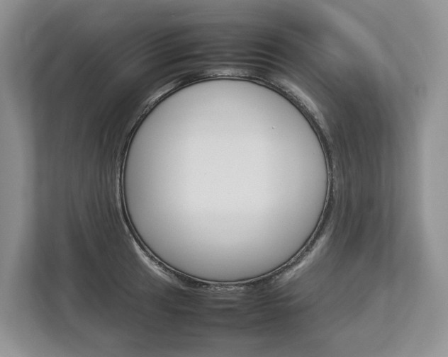 X0000113011041200908270936