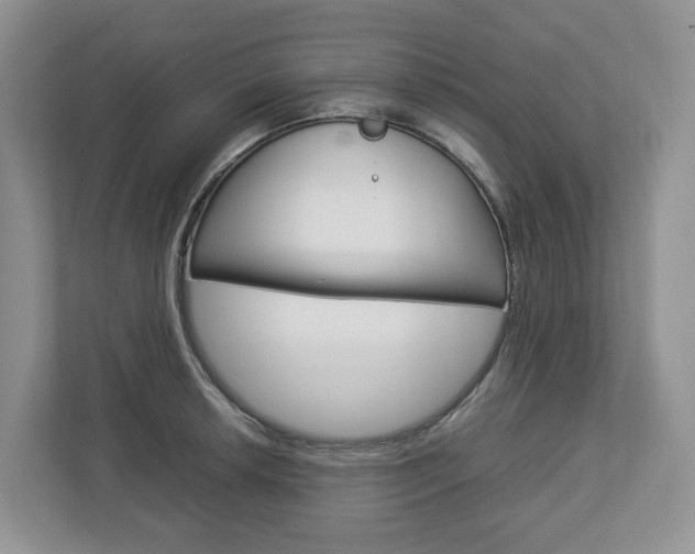 X0000113011042200908270936