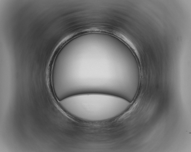 X0000113011045200908270936