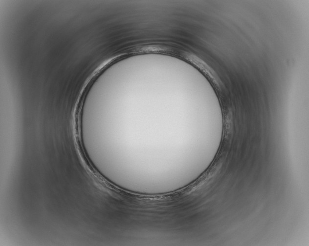 X0000113011047200908270936