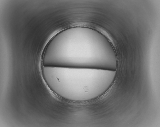 X0000113011050200908270936