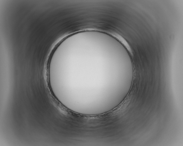 X0000113011051200908270936