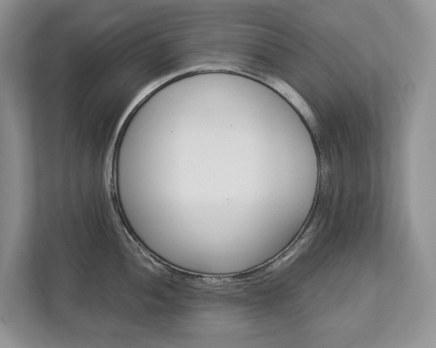 X0000113011052200908270936