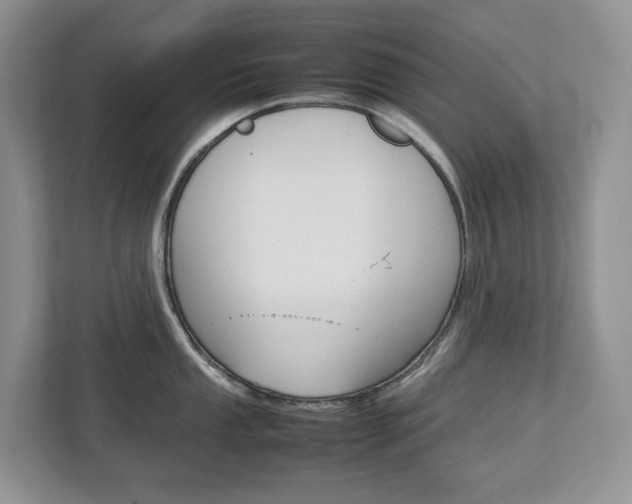 X0000113011053200908270936