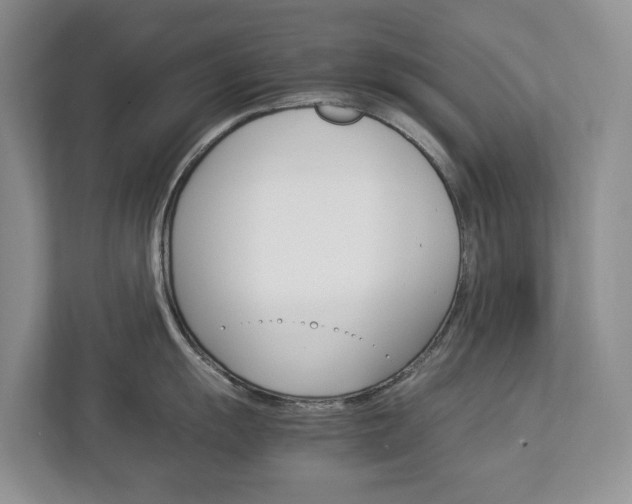 X0000113011055200908270936