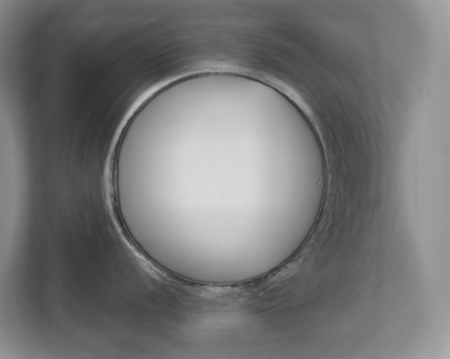 X0000113011056200908270936