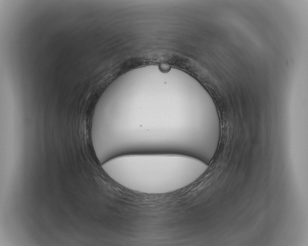 X0000113011058200908270935