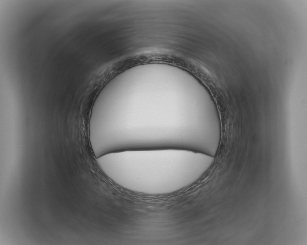X0000113011062200908270935