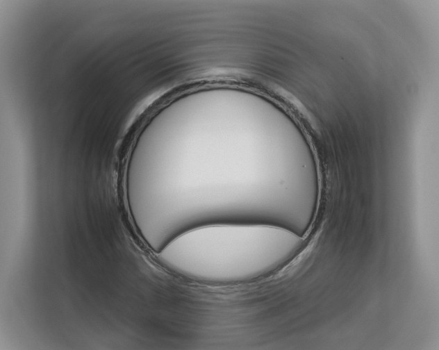 X0000113011066200908270935