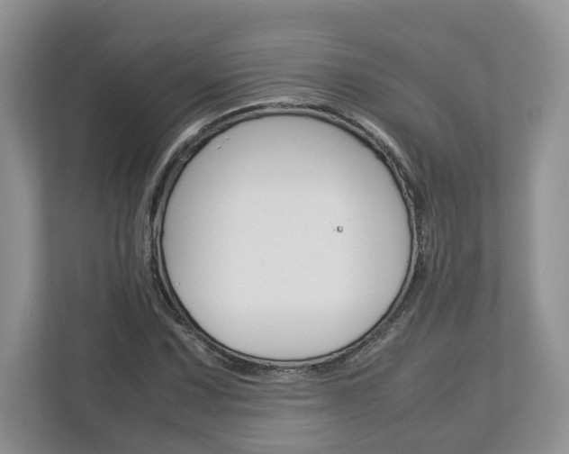 X0000113011067200908270935
