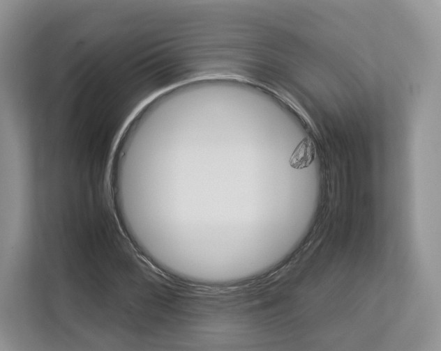 X0000113011068200908270935