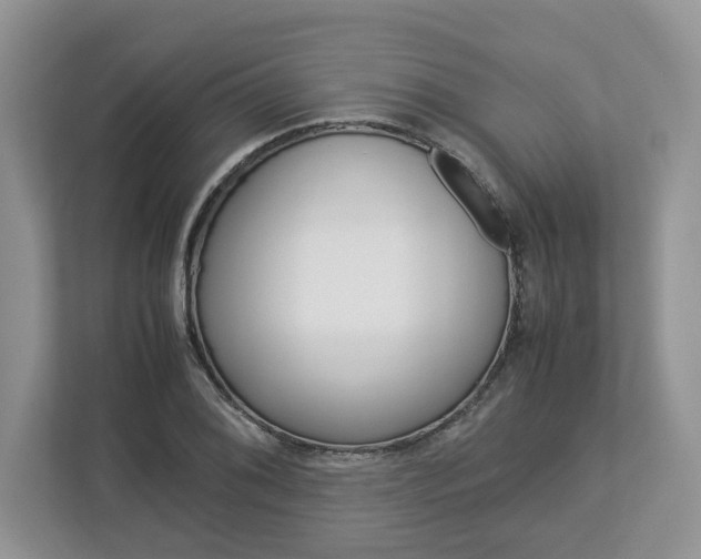X0000113011076200908270935