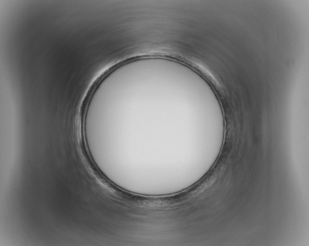 X0000113011079200908270935