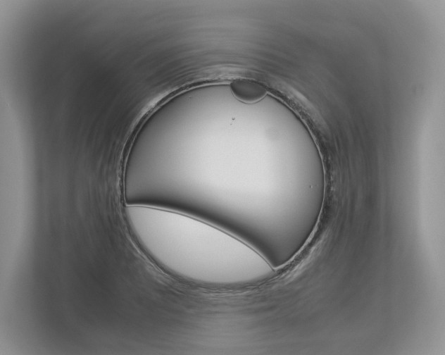 X0000113011081200908270935