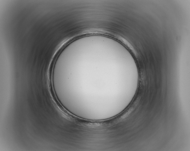 X0000113011082200908270935