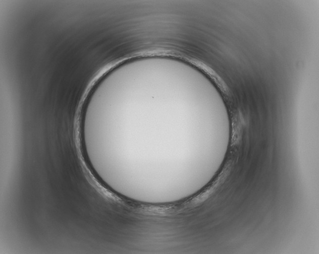 X0000113011086200908270935