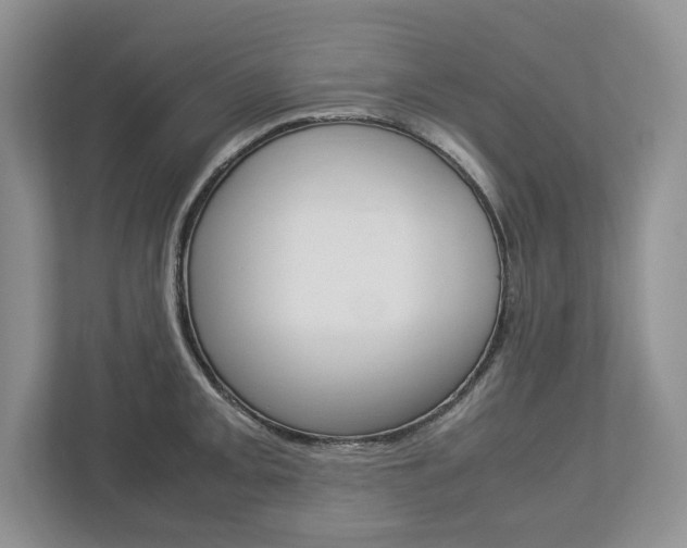 X0000113011093200908270935