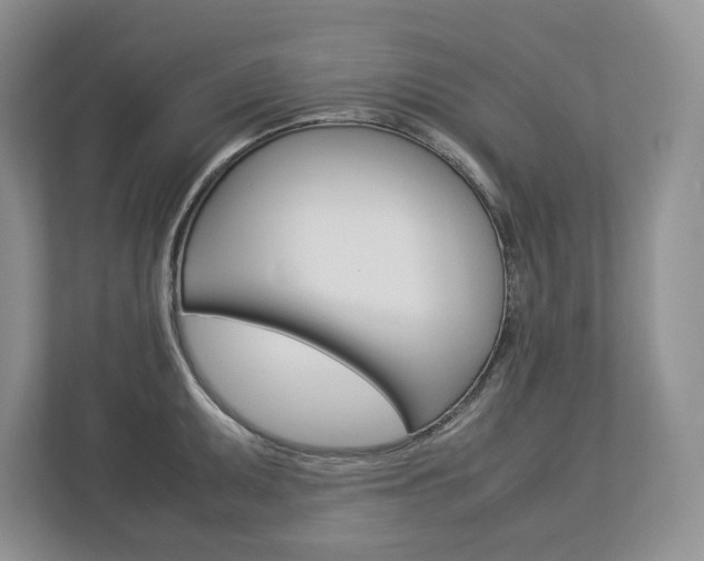 X0000113011095200908270935