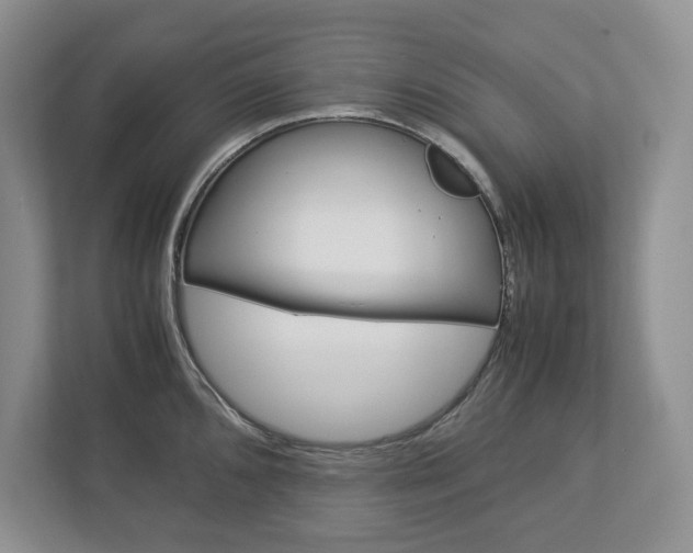 X0000113011096200908270935