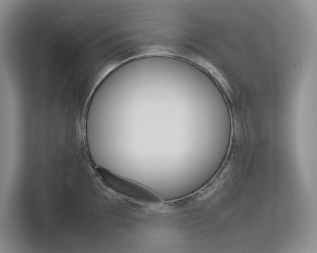 X0000113011097200908270935