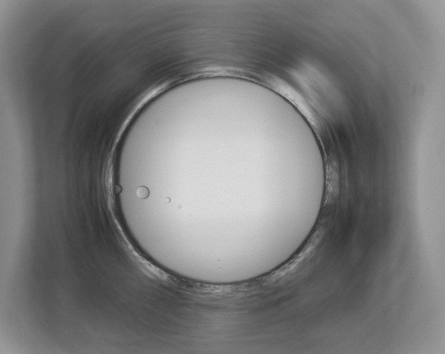 X0000113011098200908270935