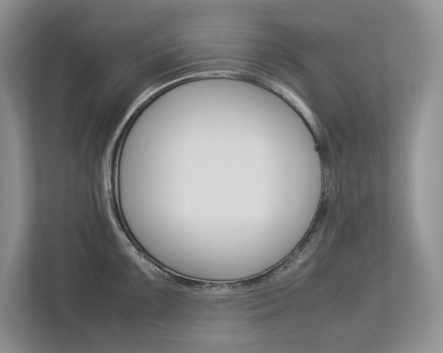 X0000113011099200908270935