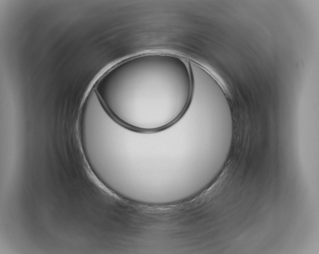 X0000113011100200908270935