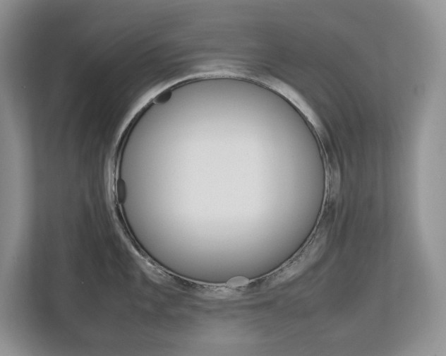 X0000113011101200908270935
