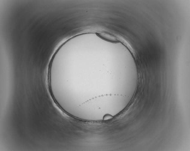 X0000113011103200908270935
