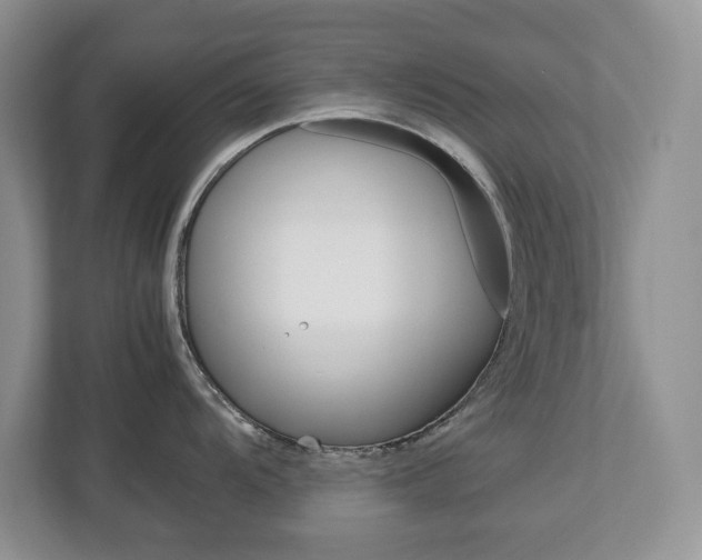 X0000113011104200908270934