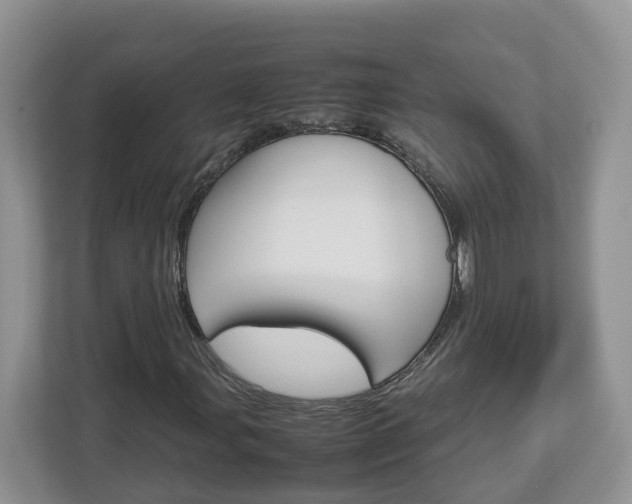 X0000113011107200908270934