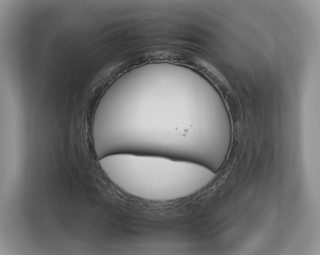 X0000113011111200908270934