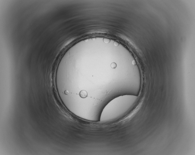 X0000113011113200908270934