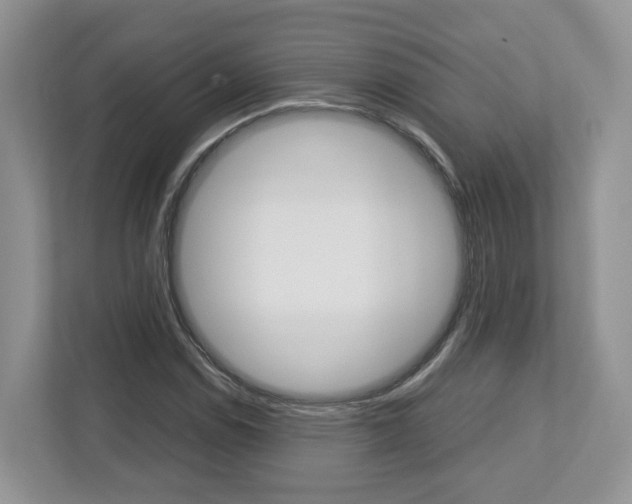 X0000113011114200908270934
