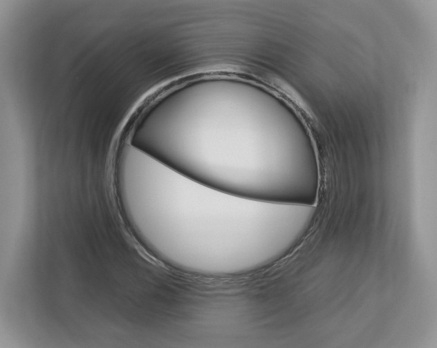X0000113011116200908270934