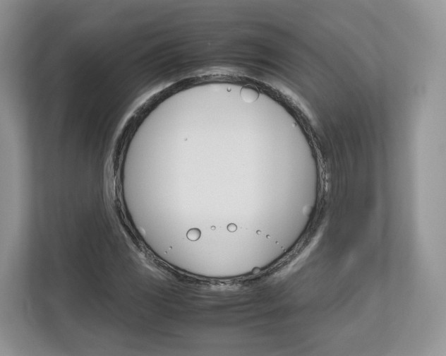 X0000113011117200908270934