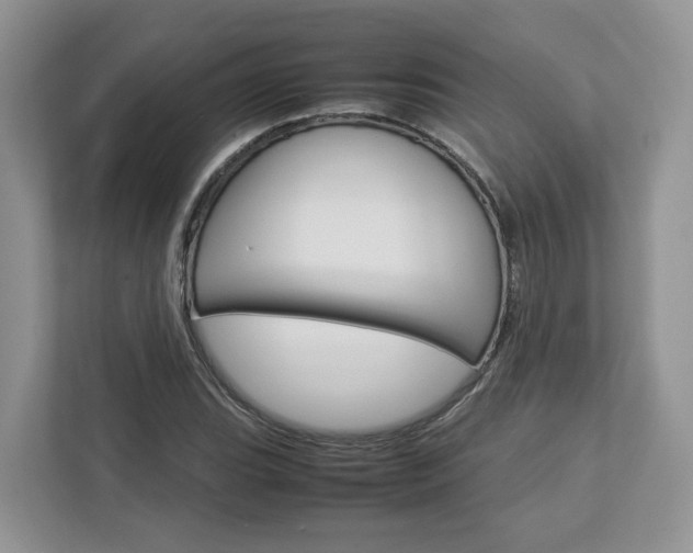 X0000113011119200908270934