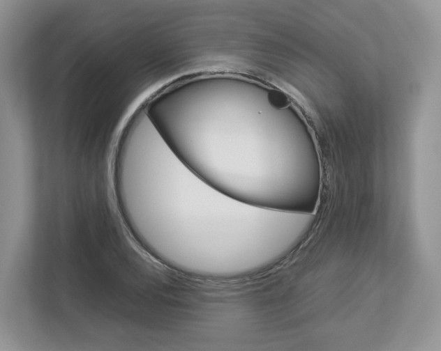 X0000113011120200908270934